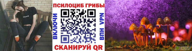кракен маркетплейс  Оха  Псилоцибиновые грибы MAGIC MUSHROOMS 